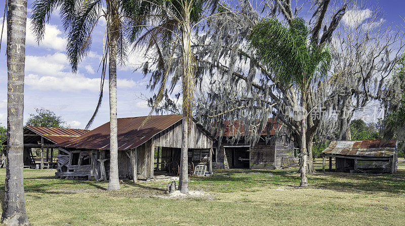Shingle Creek区域公园的先锋村有许多历史建筑展出，这些建筑代表了大约20世纪早期典型的佛罗里达奥西奥拉县农场(Babb Family farm and ranch)。展览包括谷仓和棚屋。